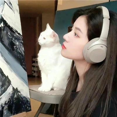 诗词中国 在线观看